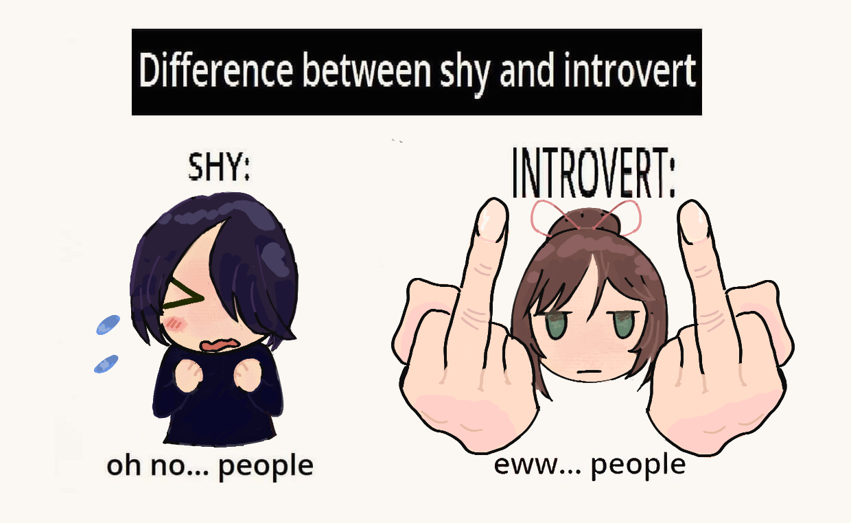 Introvert Vs Shy